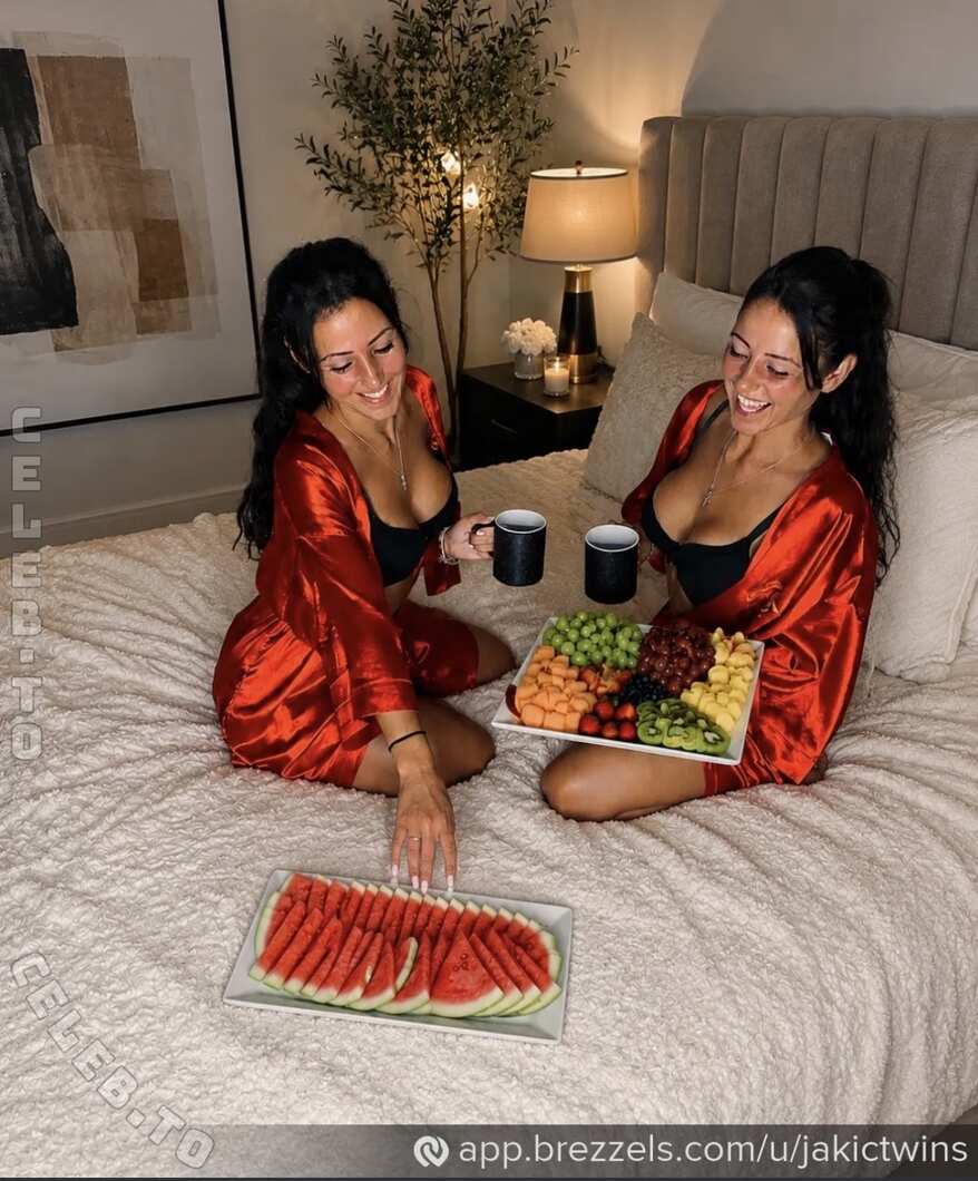 Jakic Twins nude photo 1