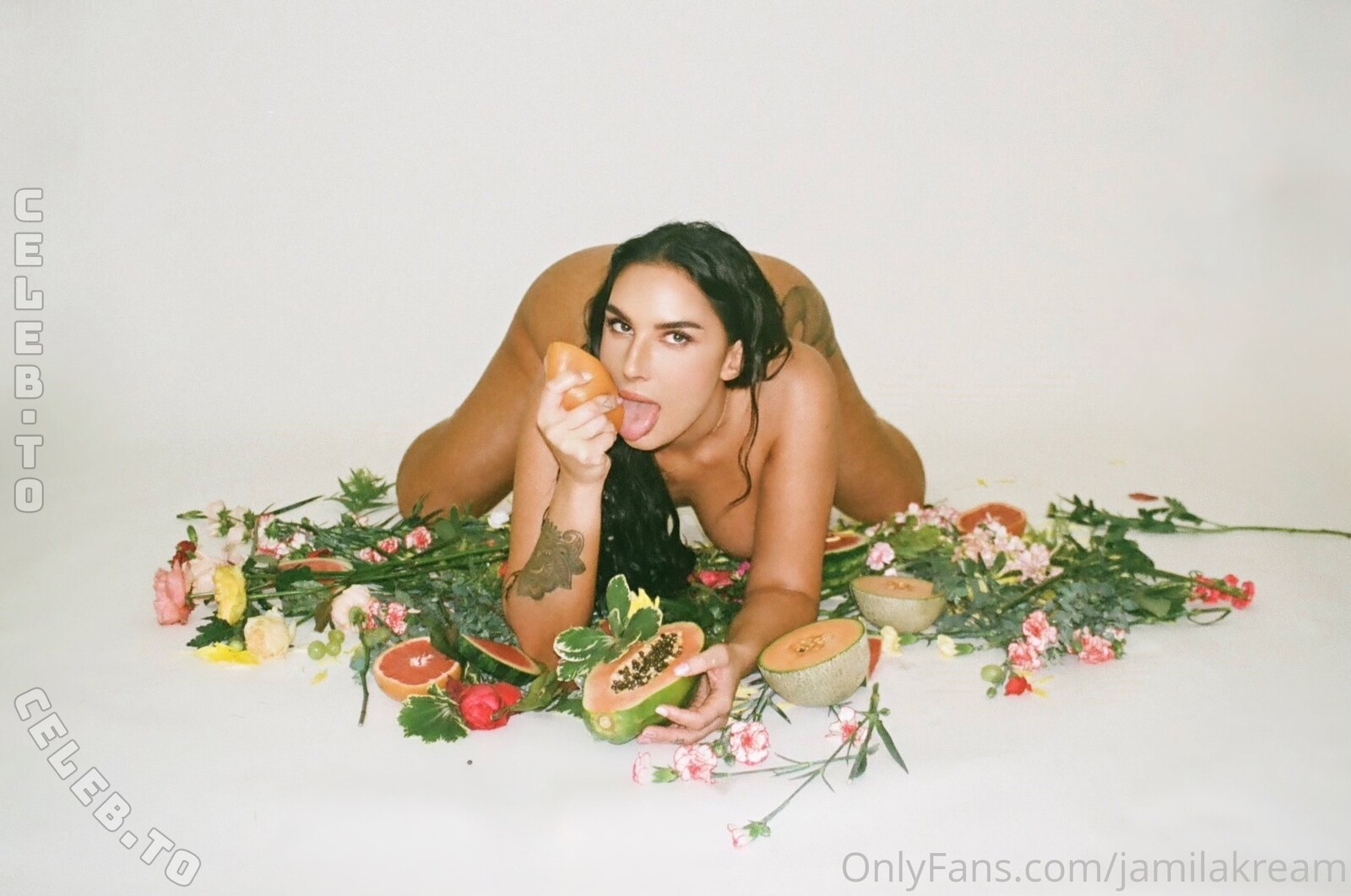 jameelahh nude photo 15