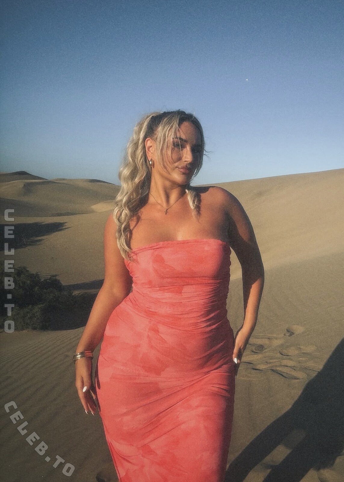 Jana Barca nude photo 4