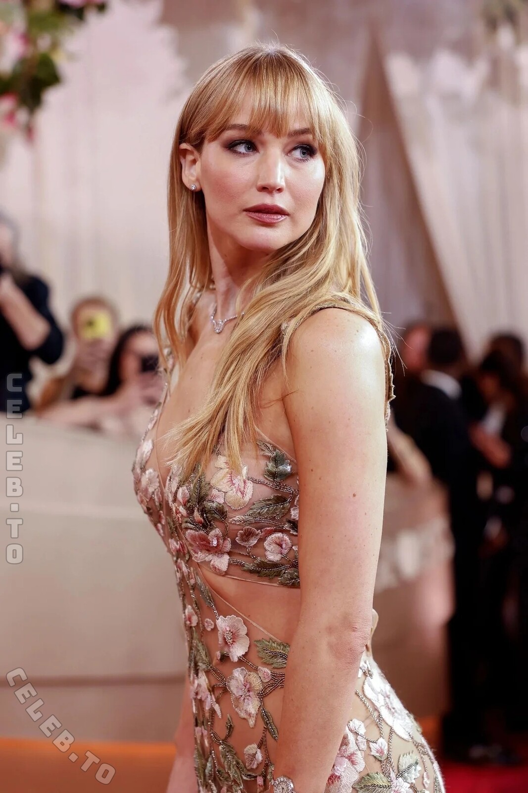 Jennifer Lawrence nude photo 4