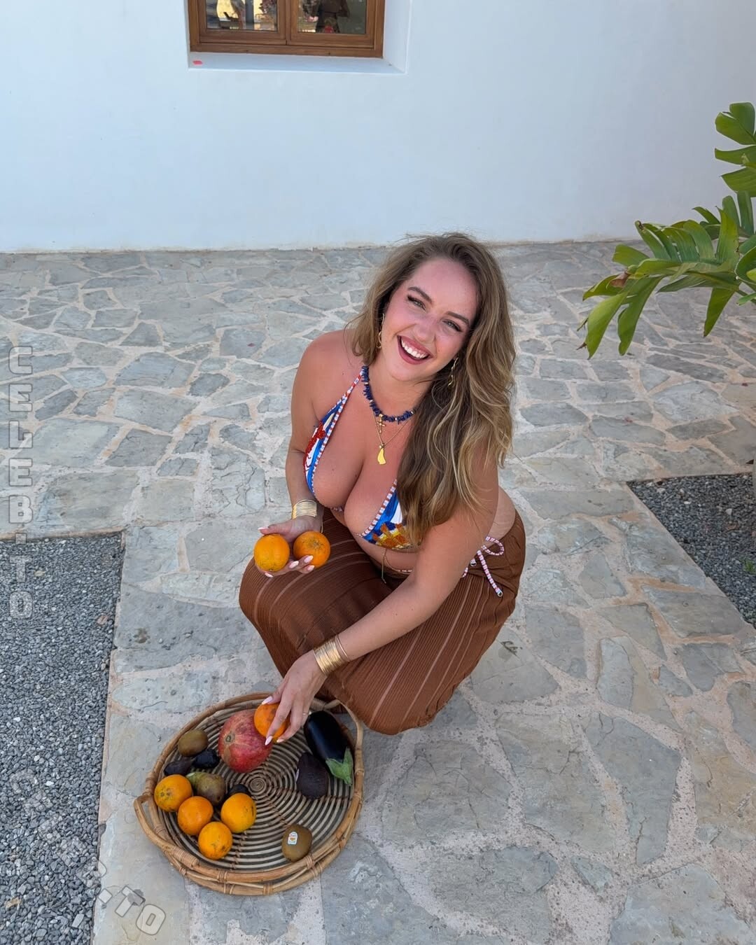 Joann van den Herik nude photo 7
