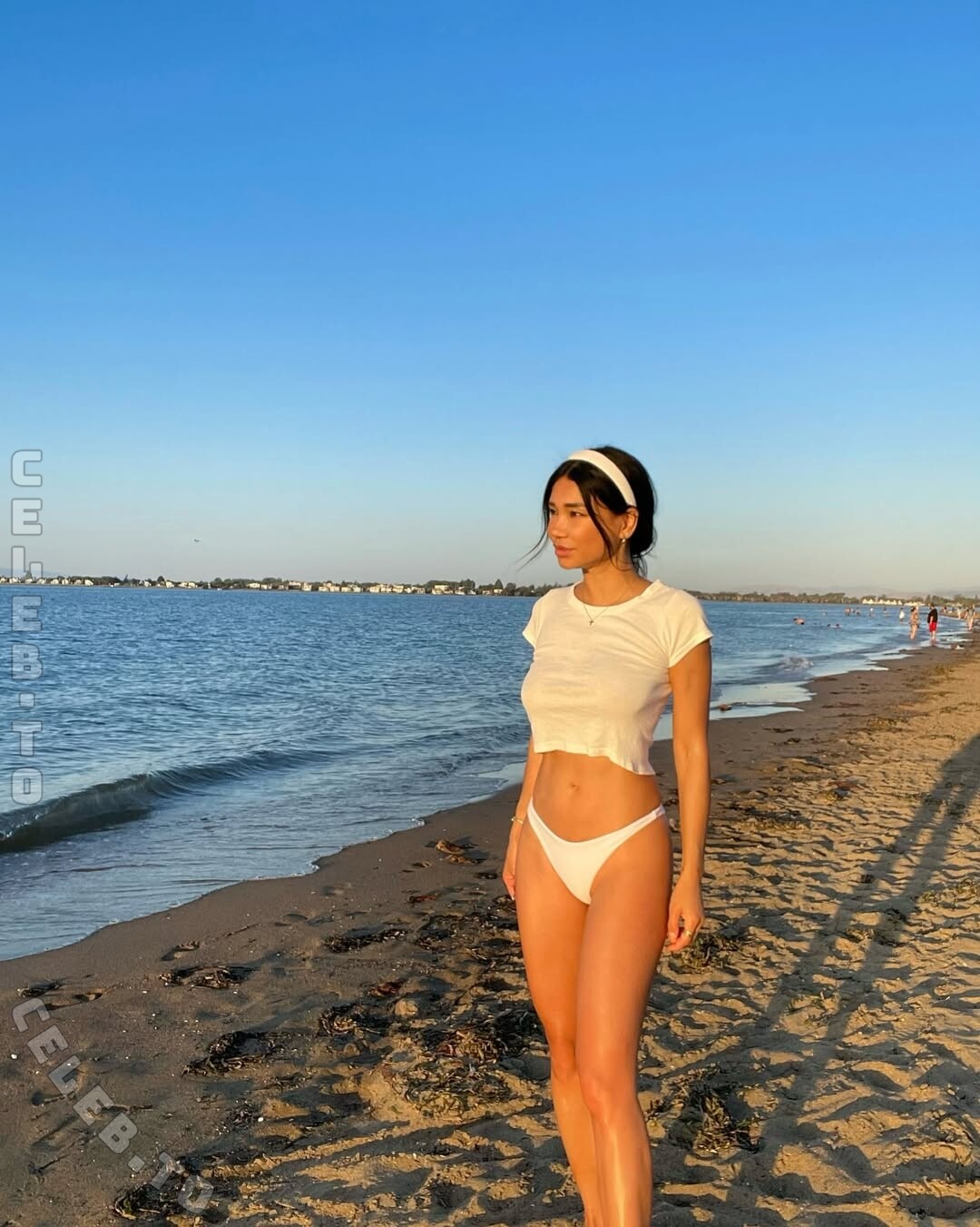 Joleen Diaz nude photo 1