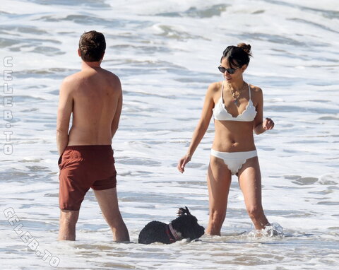 Jordana Brewster nude photo 14