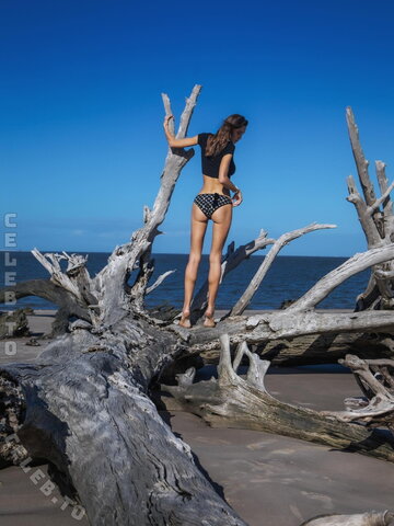 Julianne Steege photo 2