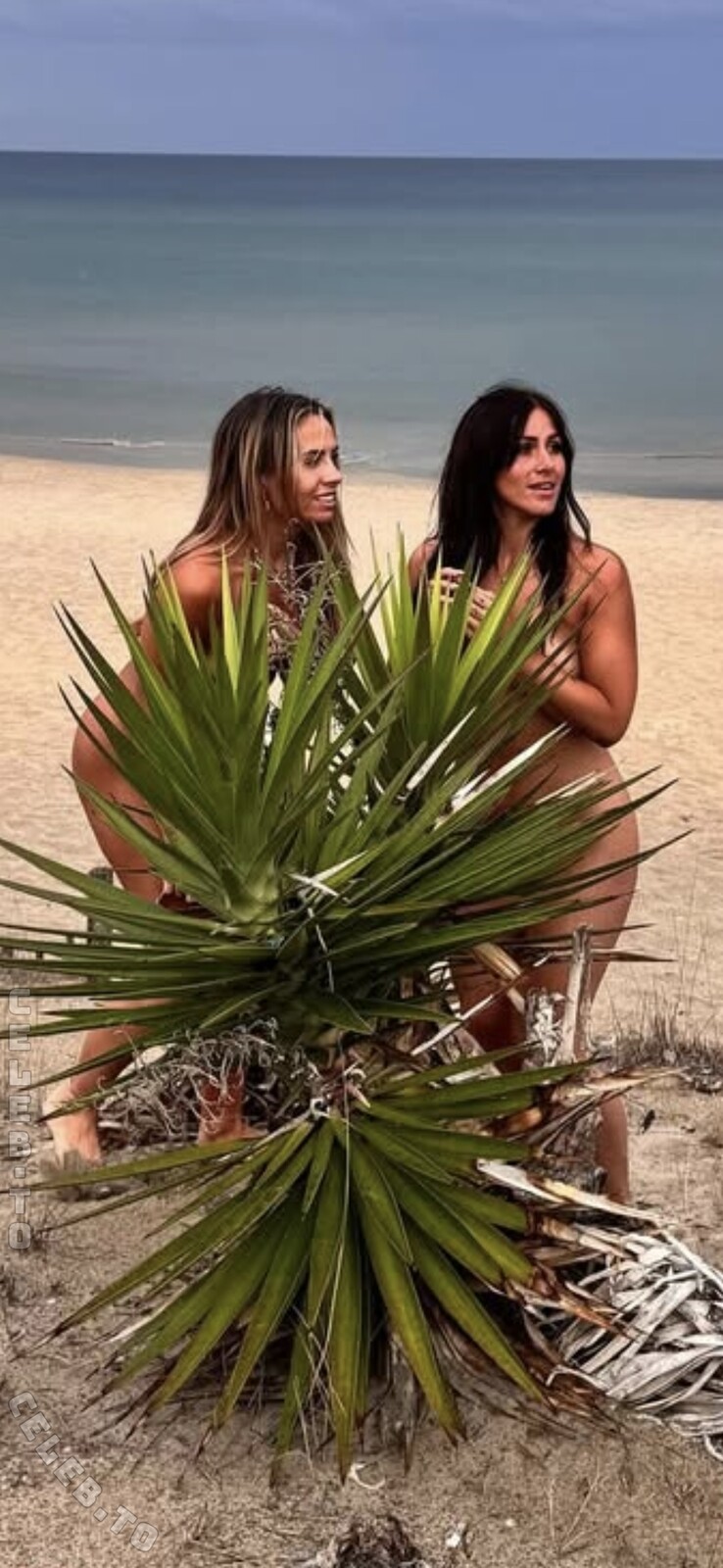 Karin Bearpark nude photo 4