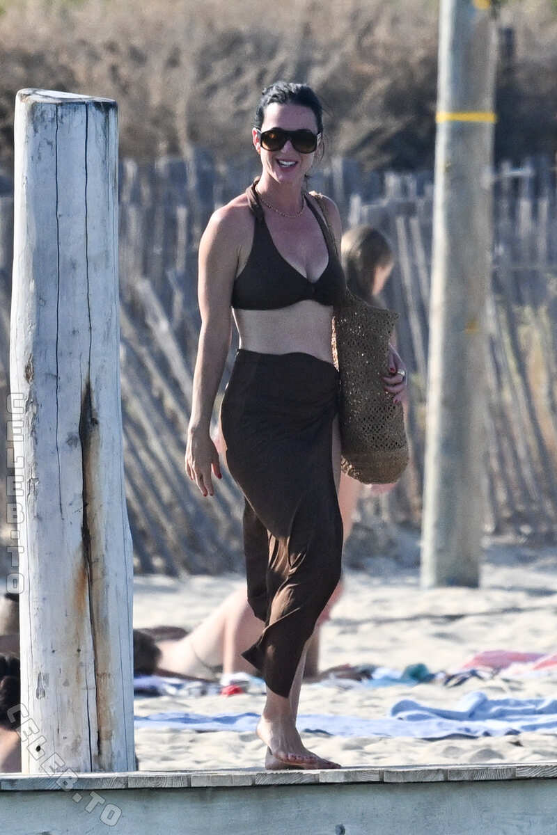Katy Perry nude photo 14