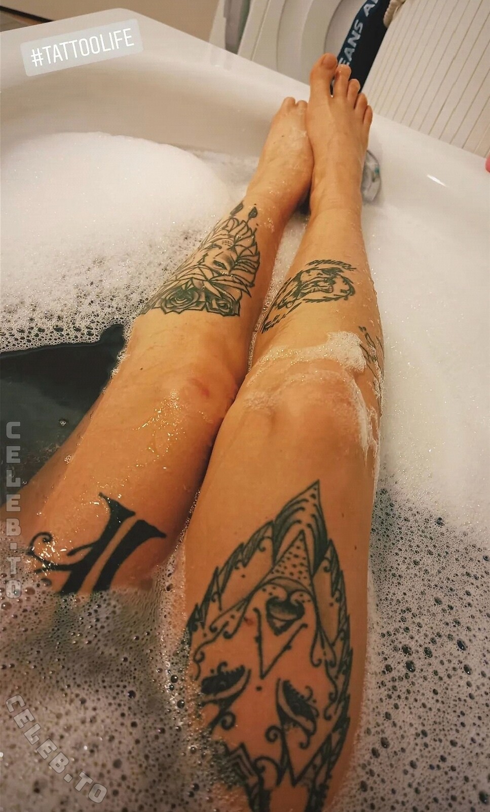kirschii_m nude photo 1