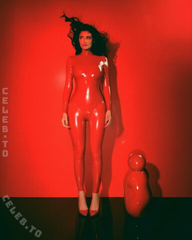 Kylie Jenner nude photo 22