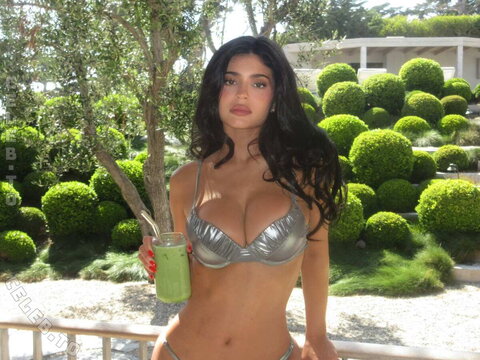 Kylie Jenner nude photo 39