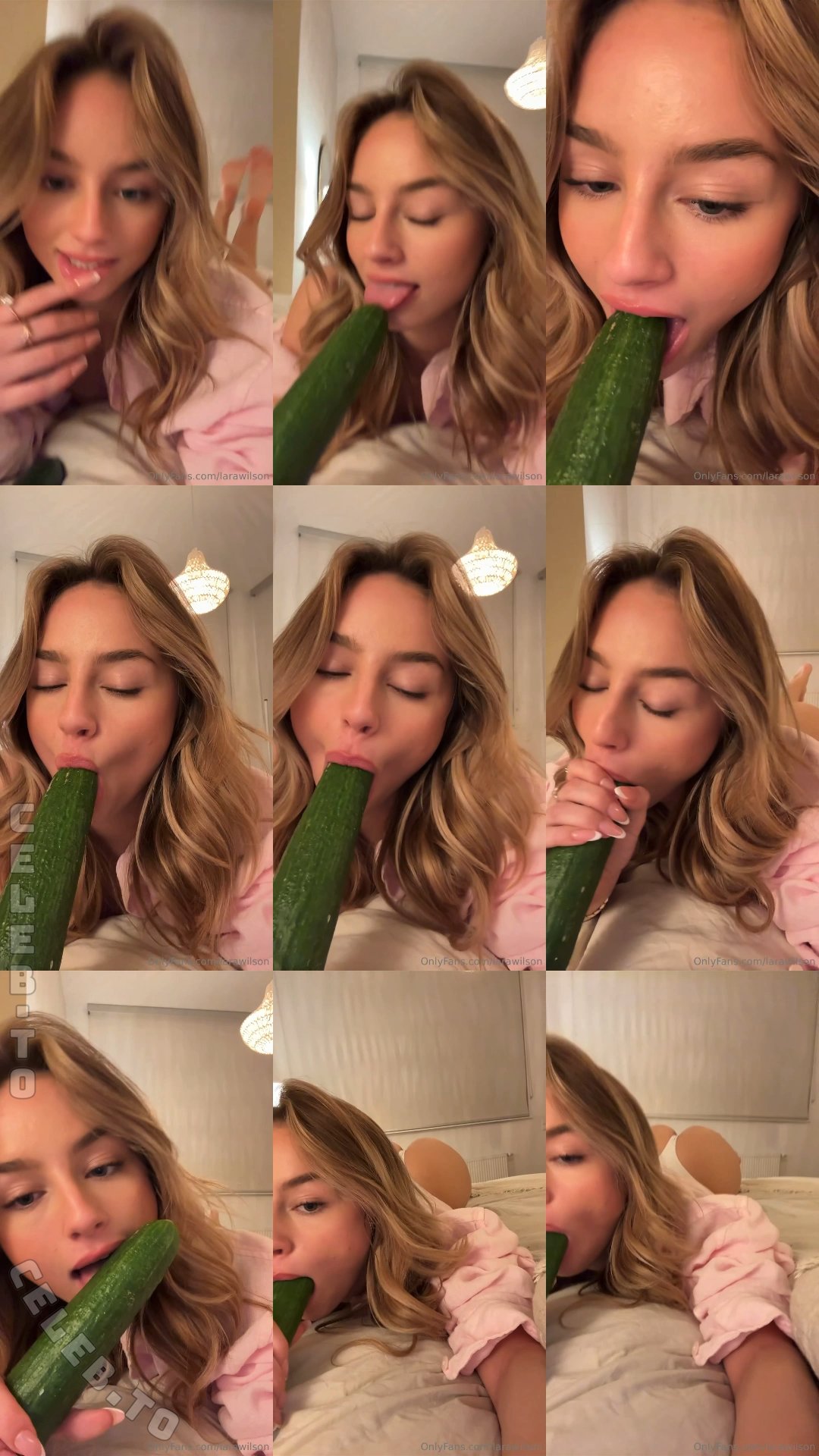Lara Wilson nude photo 2