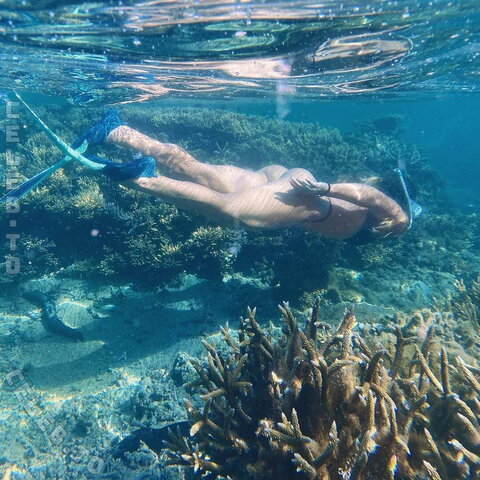 Lauriane Lamperim nude