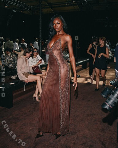 Leomie Anderson nude photo 1