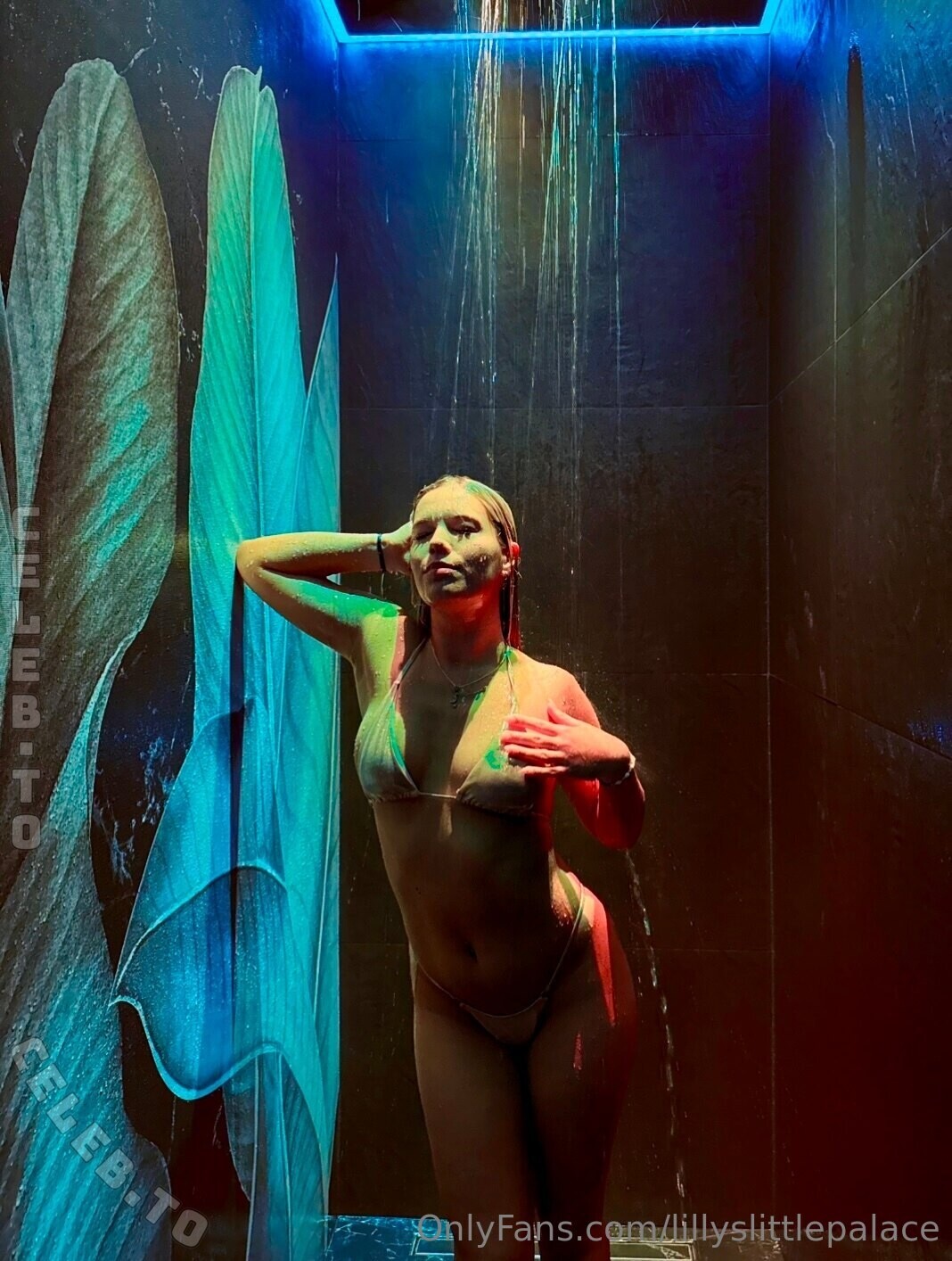 LillysLittlePalace nude photo 1