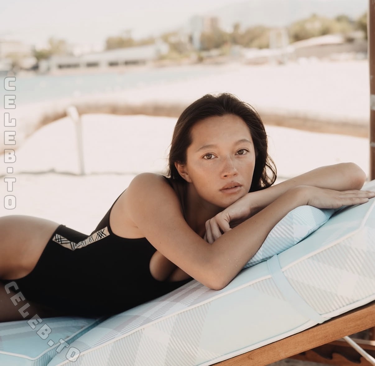 Lily Chee nude photo 3