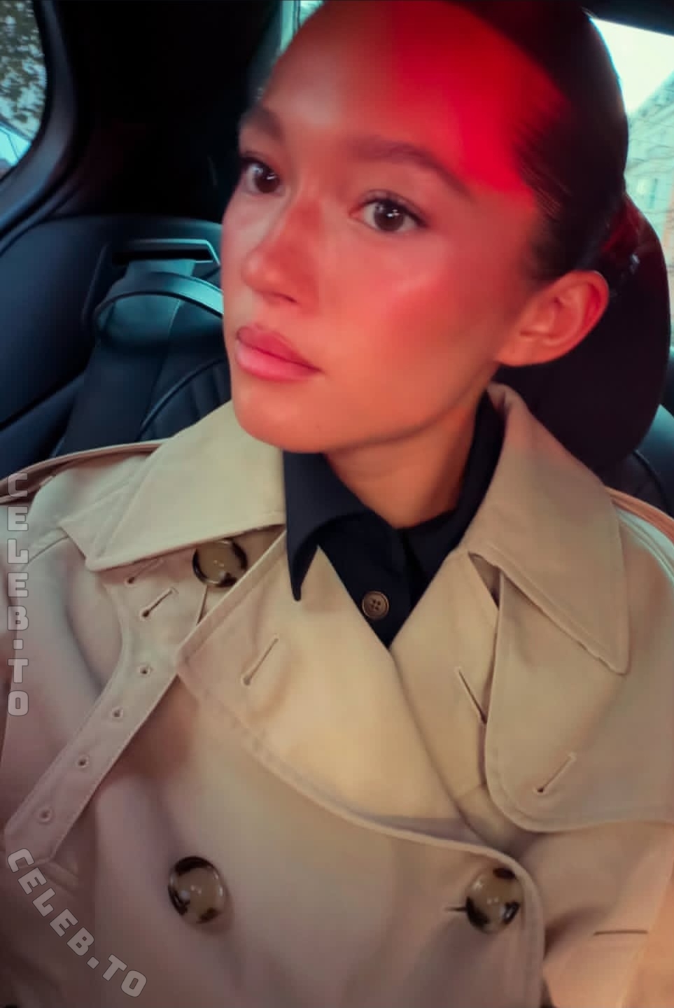 Lily Chee nude photo 1
