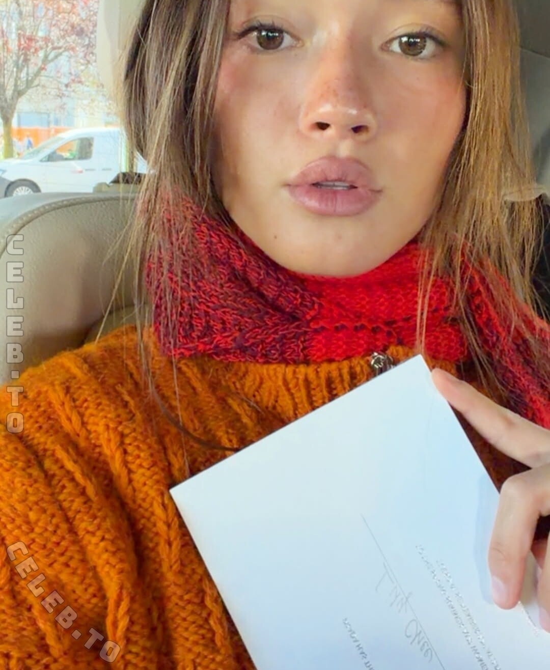 Lily Chee nude photo 8