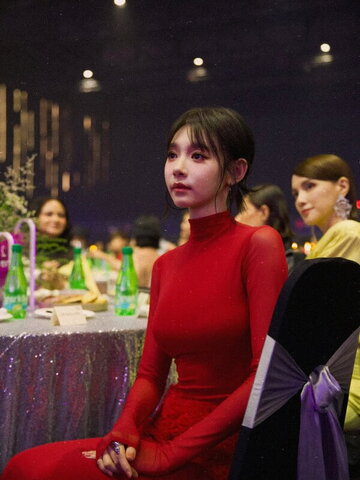 Lin Min Chen nude photo 13