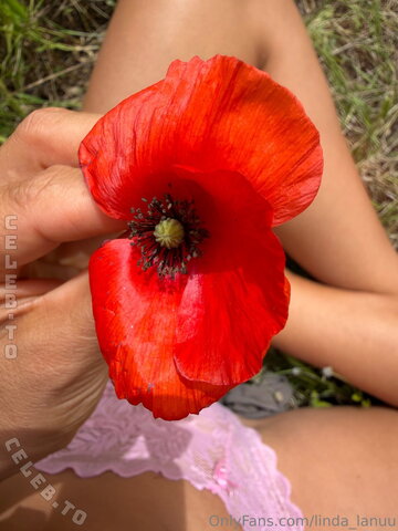 Linda Lanu photo 2