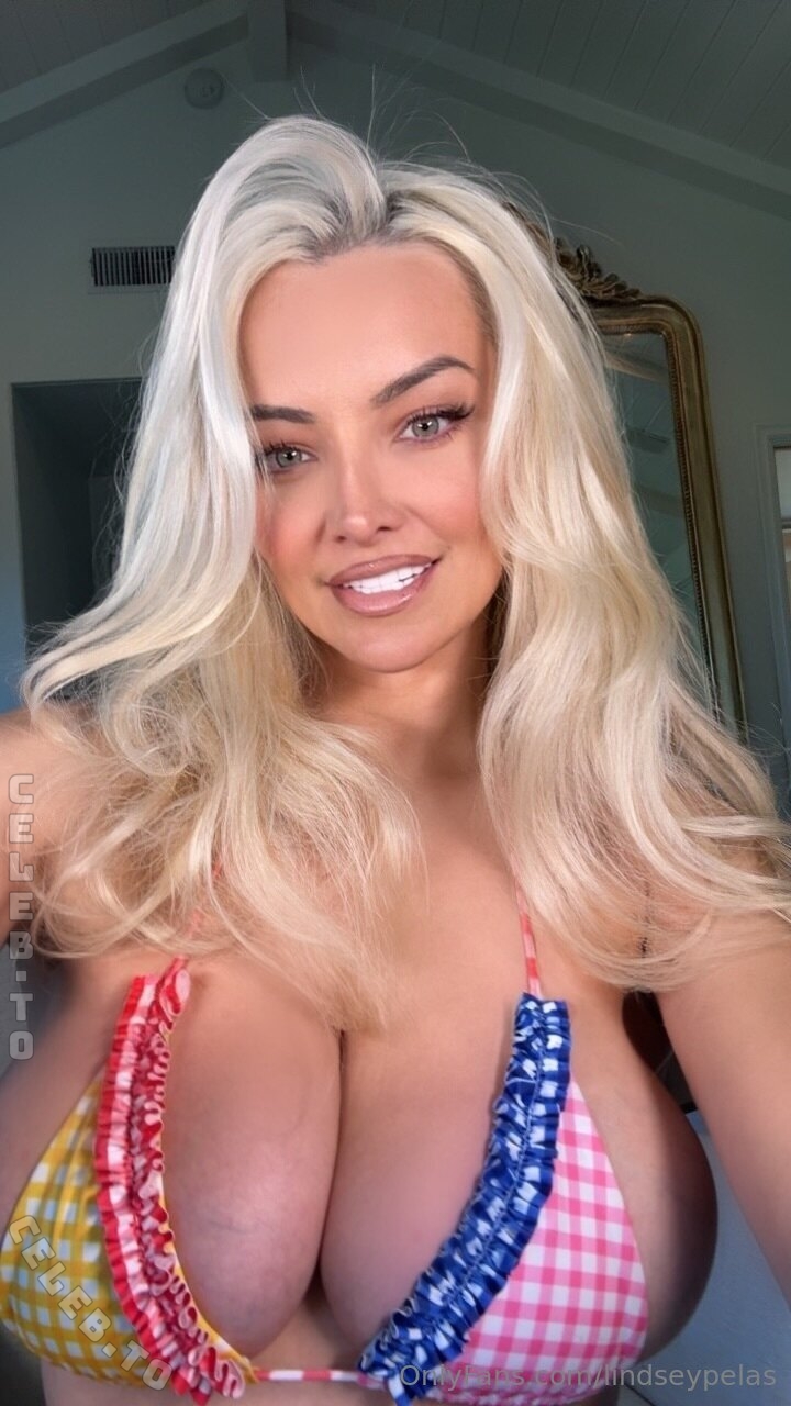 Lindsey Pelas nude photo 4