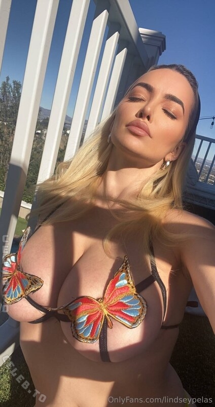 Lindsey Pelas nude photo 1