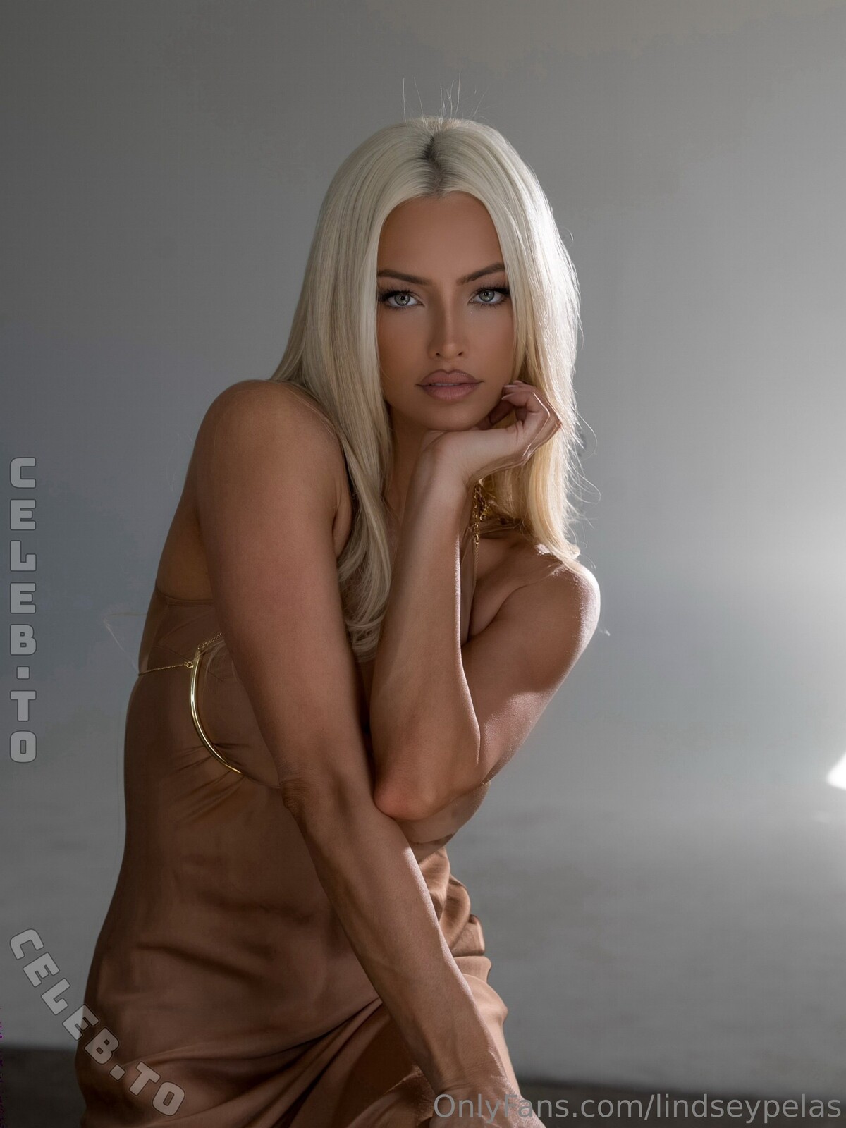 Lindsey Pelas nude photo 6