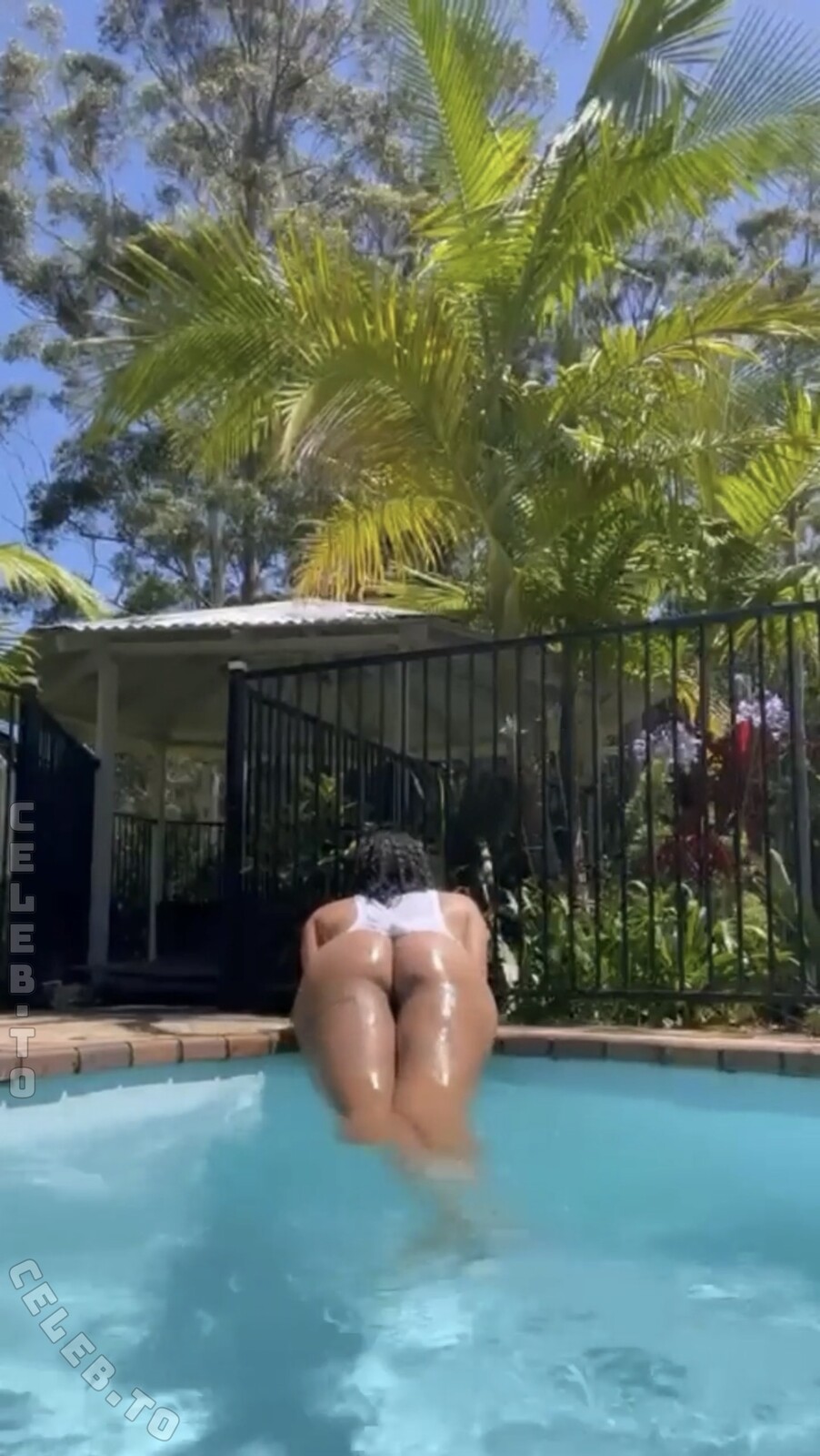 Liz Cambage nude photo 1