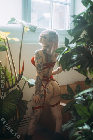 MaceZayuri nude photo 20