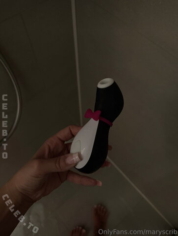 Maryscrib photo 1