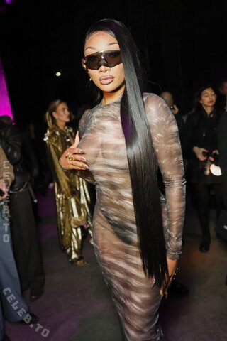 Megan thee stallion nude photo 20