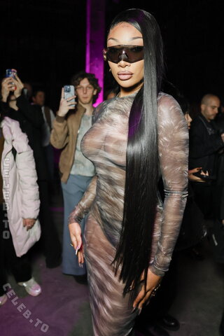 Megan thee stallion nude photo 19