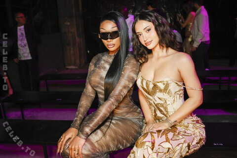 Megan thee stallion nude photo 18