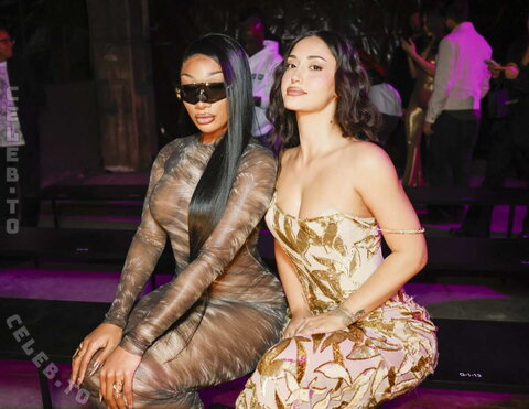 Megan thee stallion nude photo 17