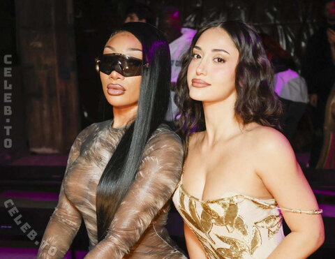 Megan thee stallion nude photo 16