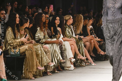 Megan thee stallion nude photo 15