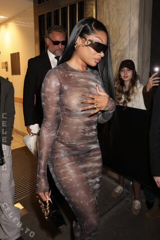 Megan thee stallion nude photo 9