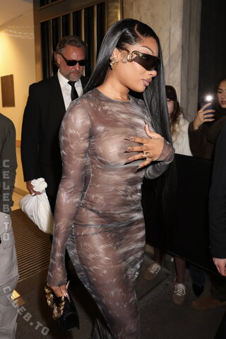 Megan thee stallion nude photo 8