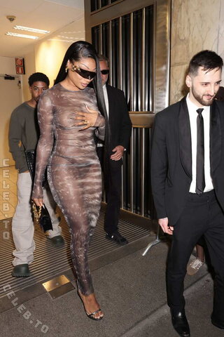 Megan thee stallion nude photo 7