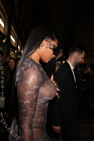 Megan thee stallion nude photo 5