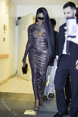 Megan thee stallion nude photo 4