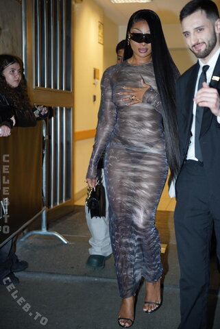 Megan thee stallion nude photo 3