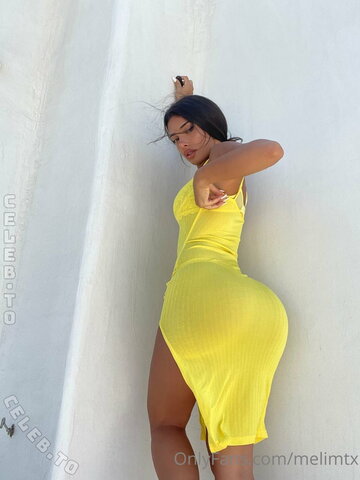 MelimTX nude photo 305