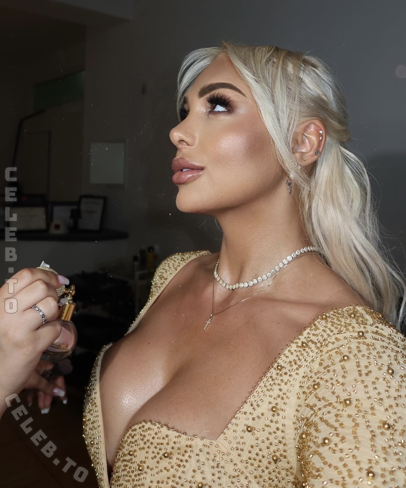 Michelle Daniaux nude photo 4