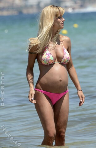 Michelle Hunziker nude