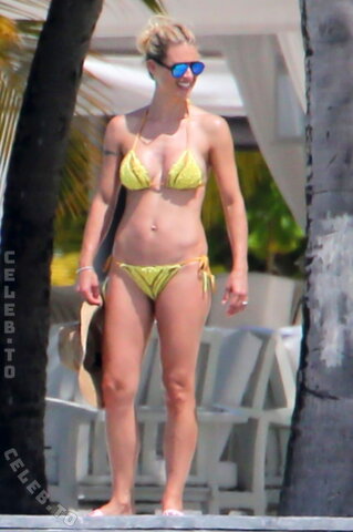 Michelle Hunziker nude