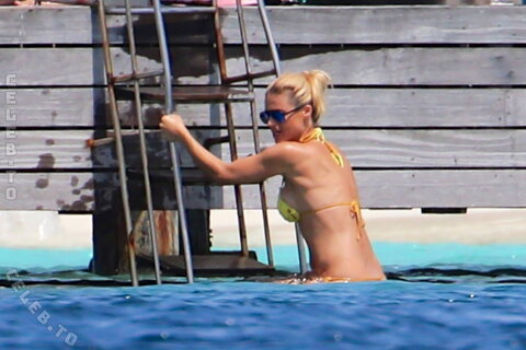 Michelle Hunziker nude