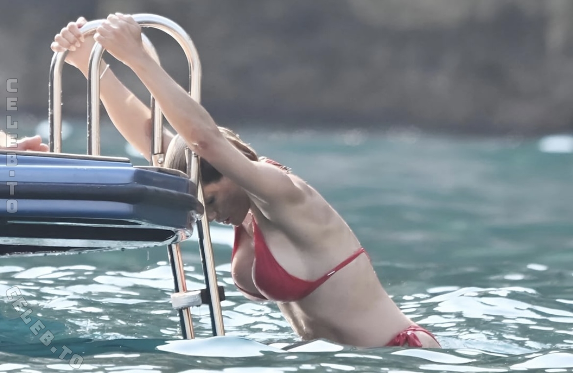 Michelle Hunziker nude photo 3