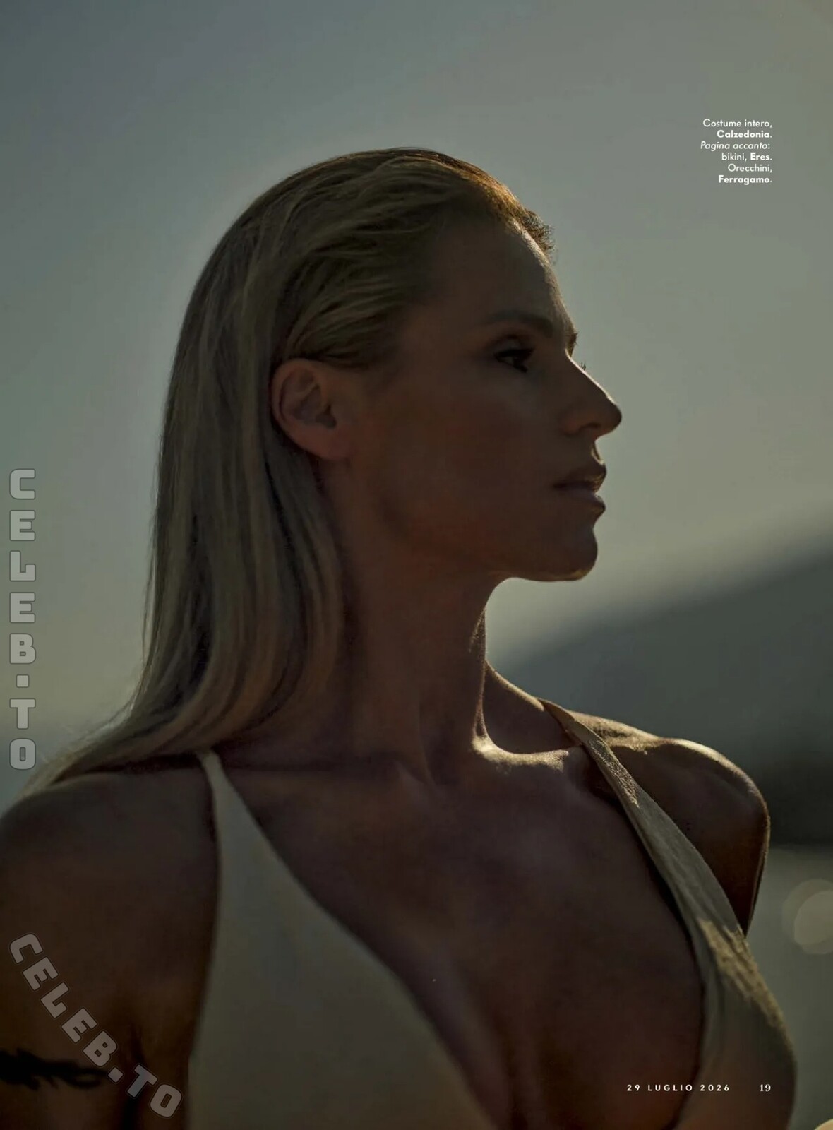 Michelle Hunziker nude photo 4