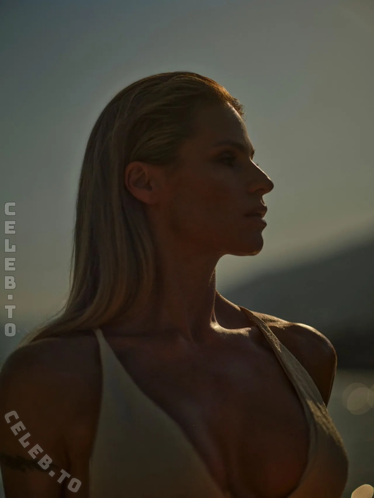 Michelle Hunziker nude photo 6