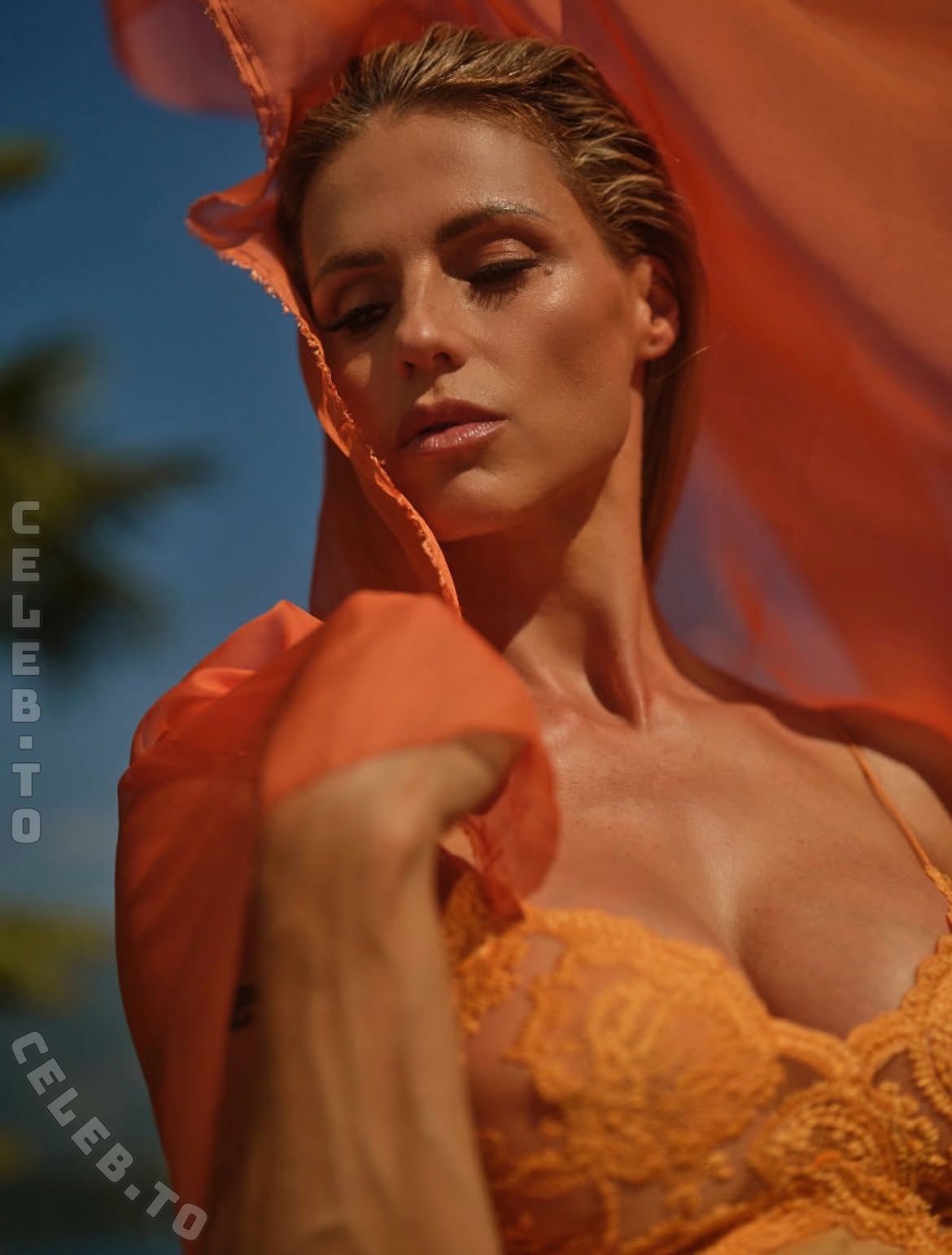 Michelle Hunziker nude photo 6