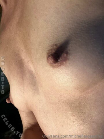 Michelle rosenthal nude photo 15